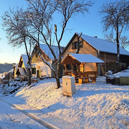 Villa Macskajaj Vendeghaz Mecseknádasd Esterno foto