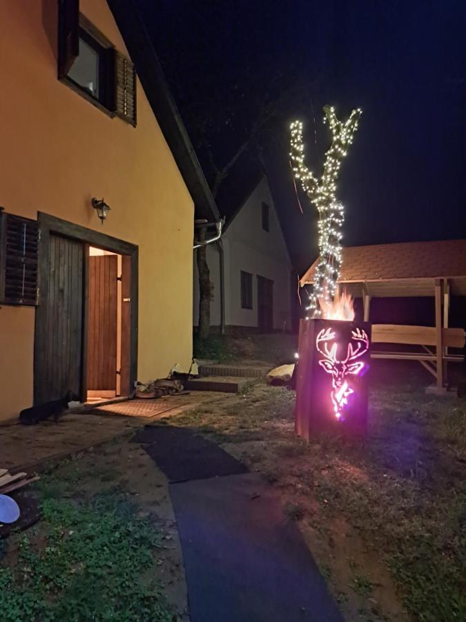Villa Macskajaj Vendeghaz Mecseknádasd Esterno foto