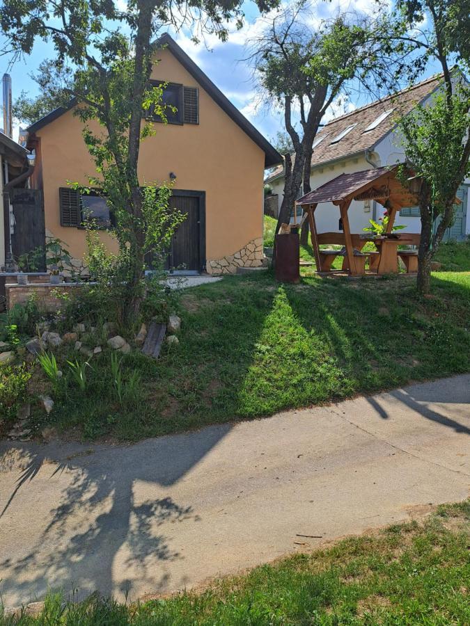 Villa Macskajaj Vendeghaz Mecseknádasd Esterno foto