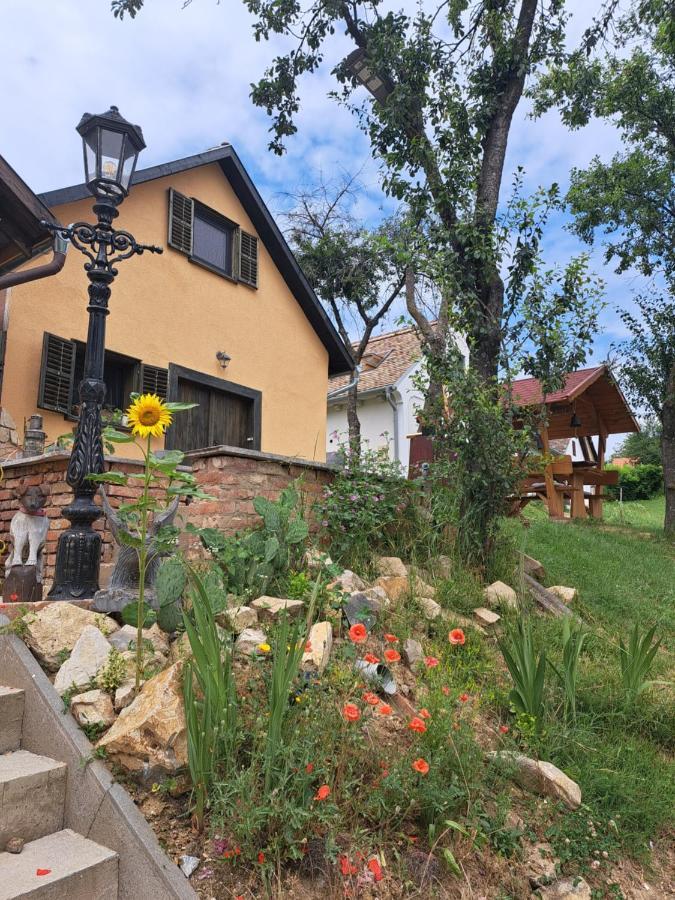 Villa Macskajaj Vendeghaz Mecseknádasd Esterno foto