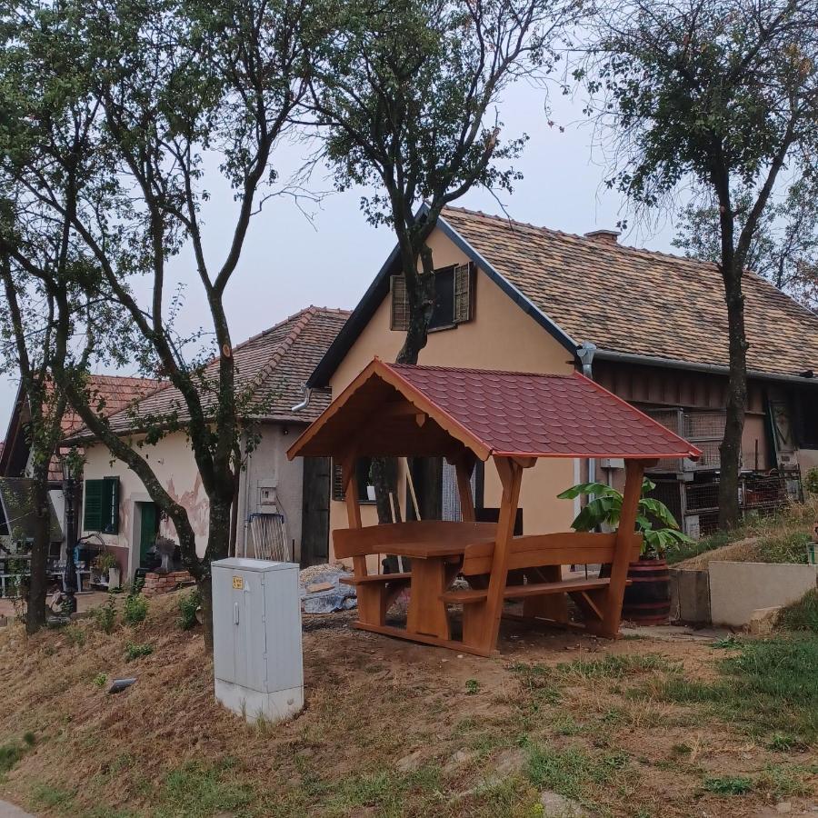 Villa Macskajaj Vendeghaz Mecseknádasd Esterno foto
